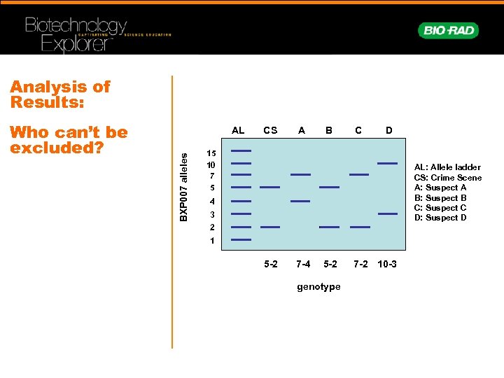 Analysis of Results: AL BXP 007 alleles Who can’t be excluded? CS A B