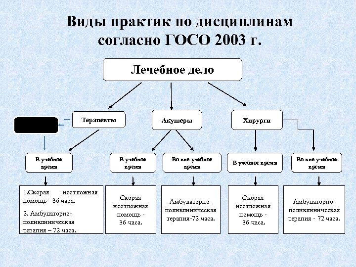 Виды практики. Виды Практик студентов. Типы практики в вузе. Практика виды.