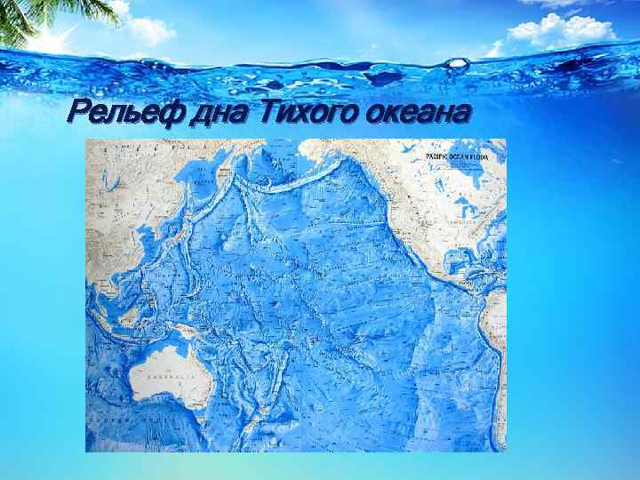 Рельеф дна Тихого океана 