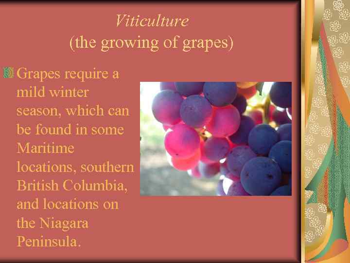 Viticulture (the growing of grapes) Grapes require a mild winter season, which can be