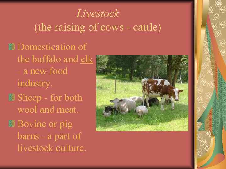 Livestock (the raising of cows - cattle) Domestication of the buffalo and elk -