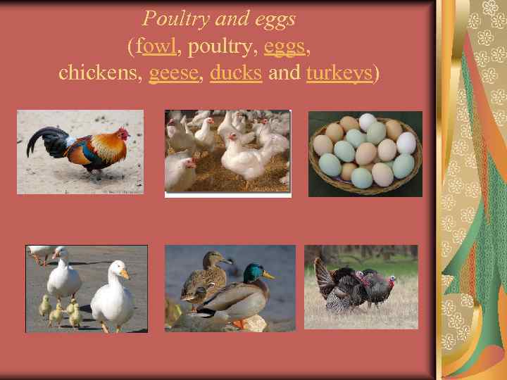 Poultry and eggs (fowl, poultry, eggs, chickens, geese, ducks and turkeys) 