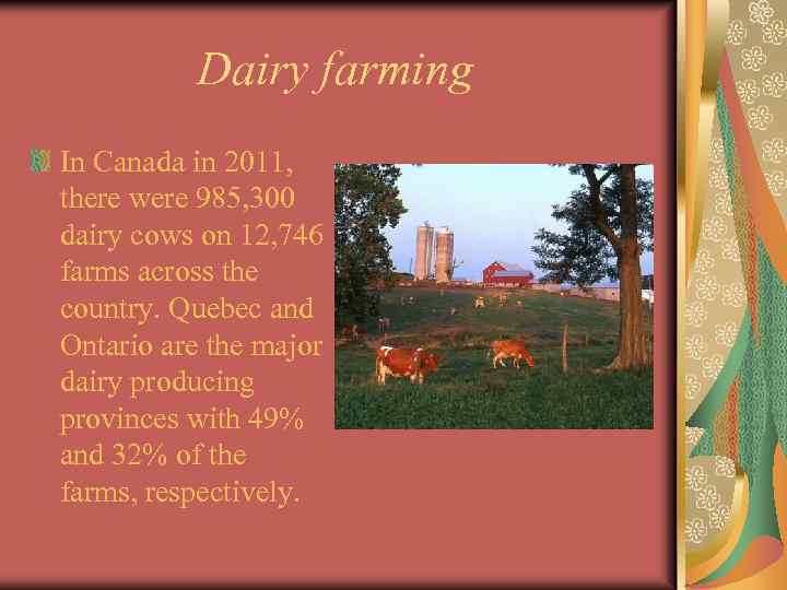 Dairy farming In Canada in 2011, there were 985, 300 dairy cows on 12,