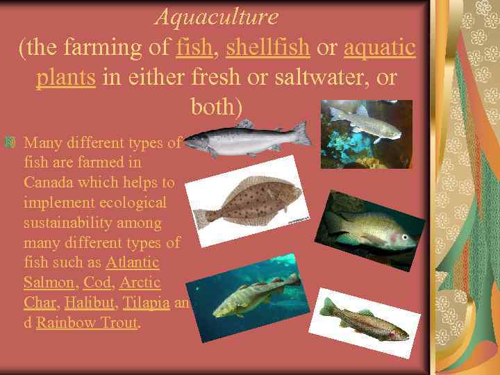 Aquaculture (the farming of fish, shellfish or aquatic plants in either fresh or saltwater,