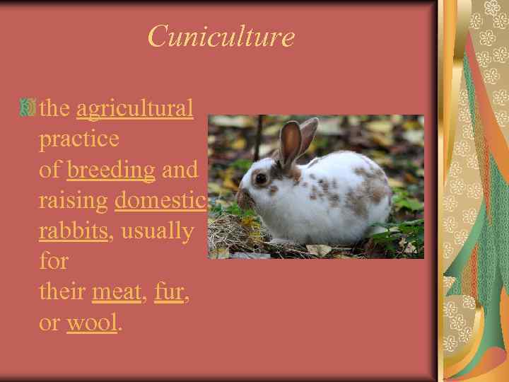 Cuniculture the agricultural practice of breeding and raising domestic rabbits, usually for their meat,