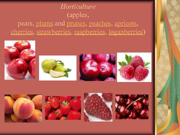 Horticulture (apples, pears, plums and prunes, peaches, apricots, cherries, strawberries, raspberries, loganberries) 