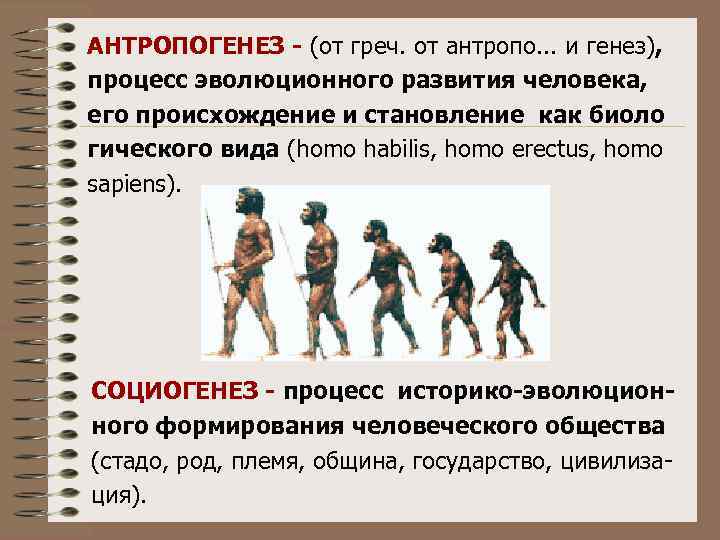 АНТРОПОГЕНЕЗ - (от греч. от антропо. . . и генез), процесс эволюционного развития человека,