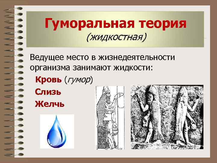 Гуморальная теория (жидкостная) Ведущее место в жизнедеятельности организма занимают жидкости: Кровь (гумор) Слизь Желчь