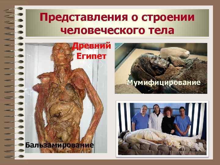 Представления о строении человеческого тела Древний Египет Мумифицирование Бальзамирование 