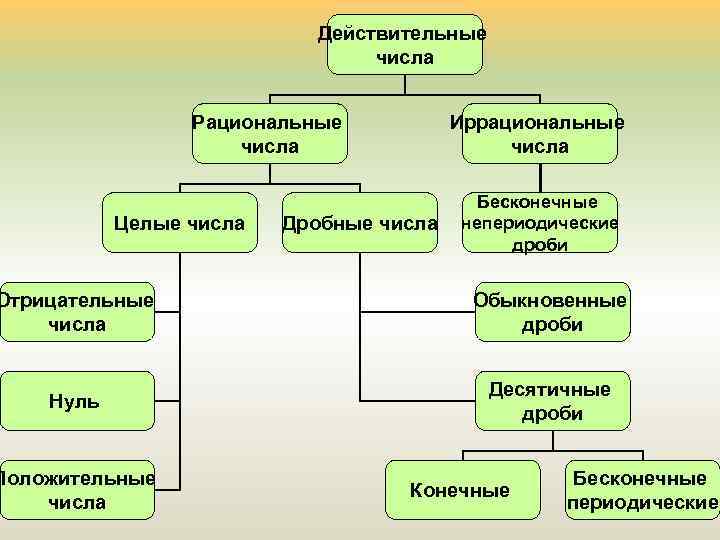 Действительные числа Рациональные числа Целые числа Иррациональные числа Дробные числа Бесконечные непериодические дроби Отрицательные