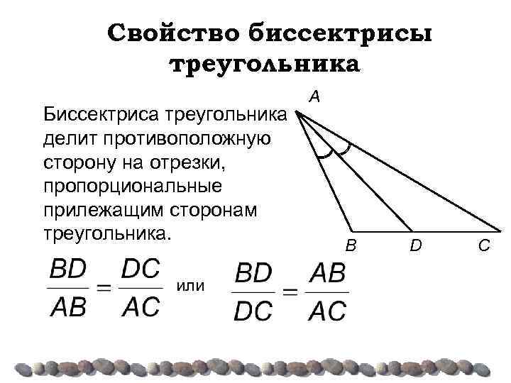 Б биссектриса