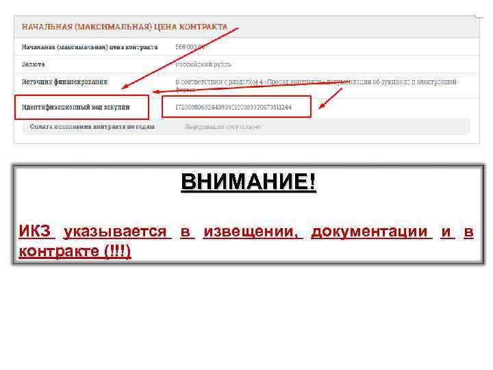 ВНИМАНИЕ! ИКЗ указывается в извещении, документации и в контракте (!!!) 