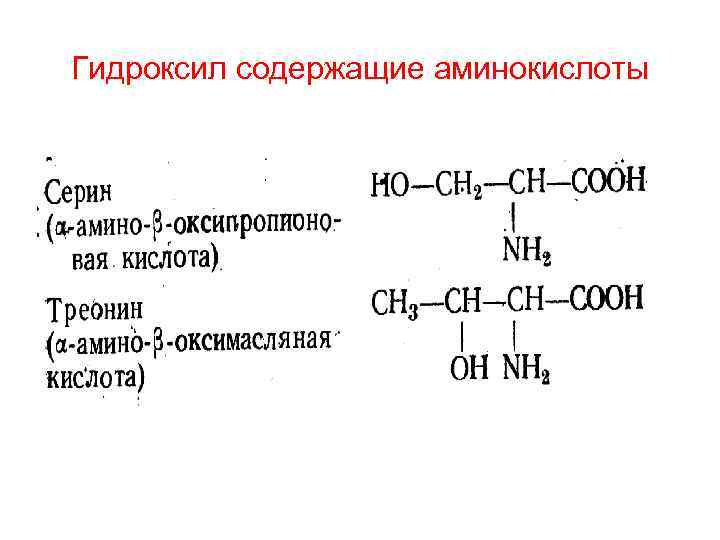 Укажите гидроксильную группу. Аминокислоты с гидроксильной группой. Аминокислоты содержащие гидроксильную группу. Гидроксигруппу содержат аминокислоты. Аминокислоты с гидроксильной группой в радикале.