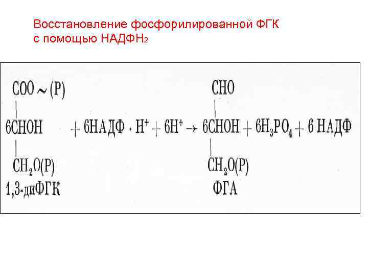 Восстановление фосфорилированной ФГК с помощью НАДФН 2 