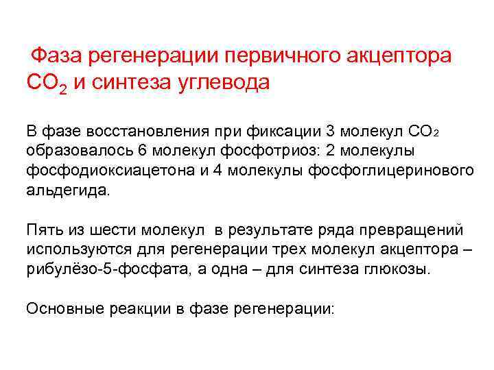 Фаза регенерации первичного акцептора СО 2 и синтеза углевода В фазе восстановления при фиксации