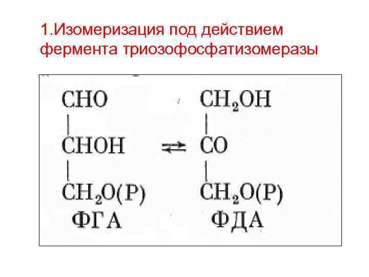 Изомеризация. ФГА фермент. Изомеризация термин. Изомеризация бутана уравнение.