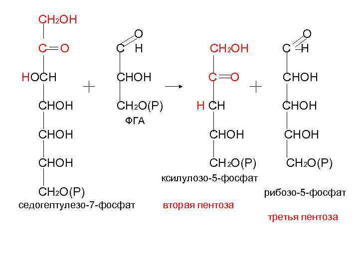 СН 2 ОН С О НОСН СНОН О С Н СН 2 ОН О
