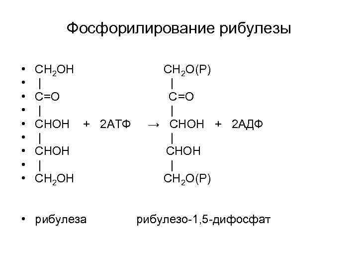 Фосфорилирование рибулезы • • • СН 2 ОН | С=О | СНОН + 2