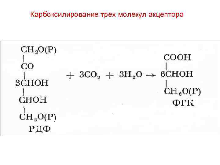 Карбоксилирование трех молекул акцептора 