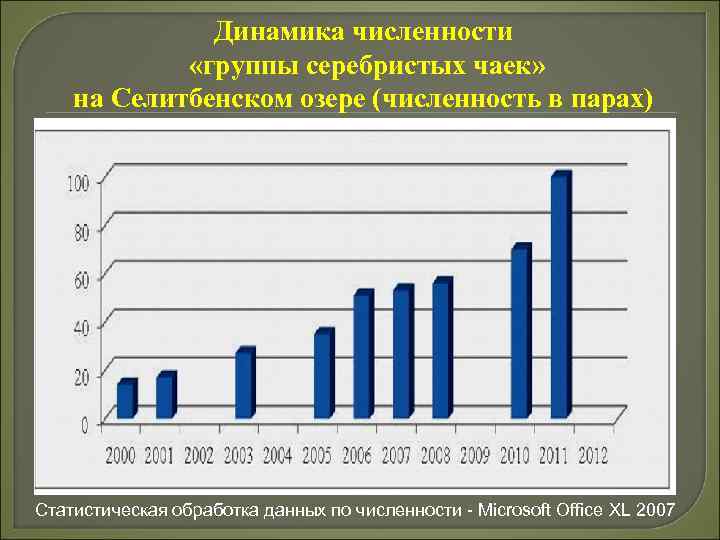 Динамика численности «группы серебристых чаек» на Селитбенском озере (численность в парах) Статистическая обработка данных