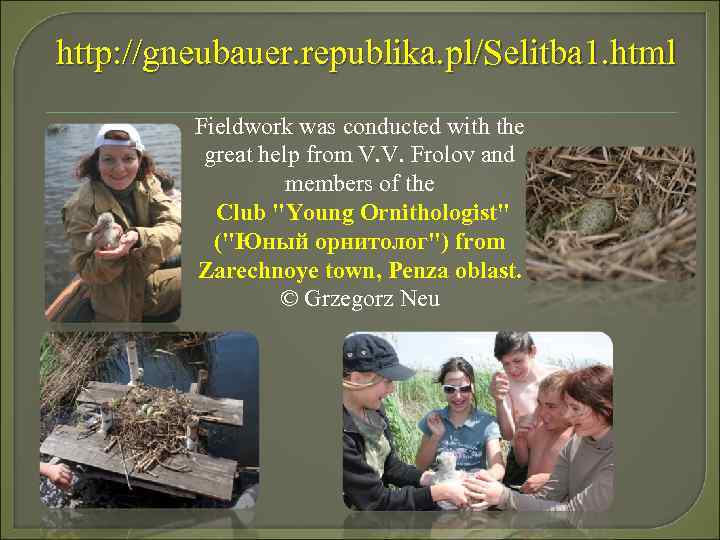 http: //gneubauer. republika. pl/Selitba 1. html Fieldwork was conducted with the great help from