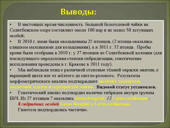 Выводы: • В настоящее время численность большой белоголовой чайки на Селитбенском озере составляет около