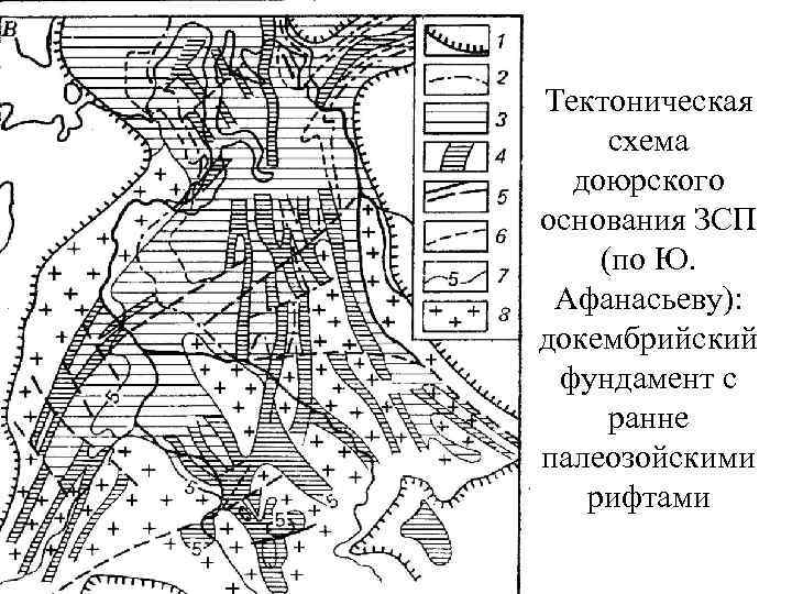 Тектоническая схема доюрского основания ЗСП (по Ю. Афанасьеву): докембрийский фундамент с ранне палеозойскими рифтами