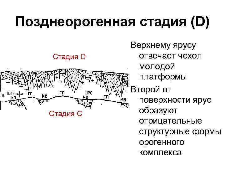 Позднеорогенная стадия (D) Стадия D Стадия С Верхнему ярусу отвечает чехол молодой платформы Второй