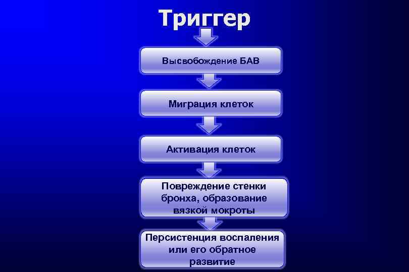 Триггер Высвобождение БАВ Миграция клеток Активация клеток Повреждение стенки бронха, образование вязкой мокроты Персистенция