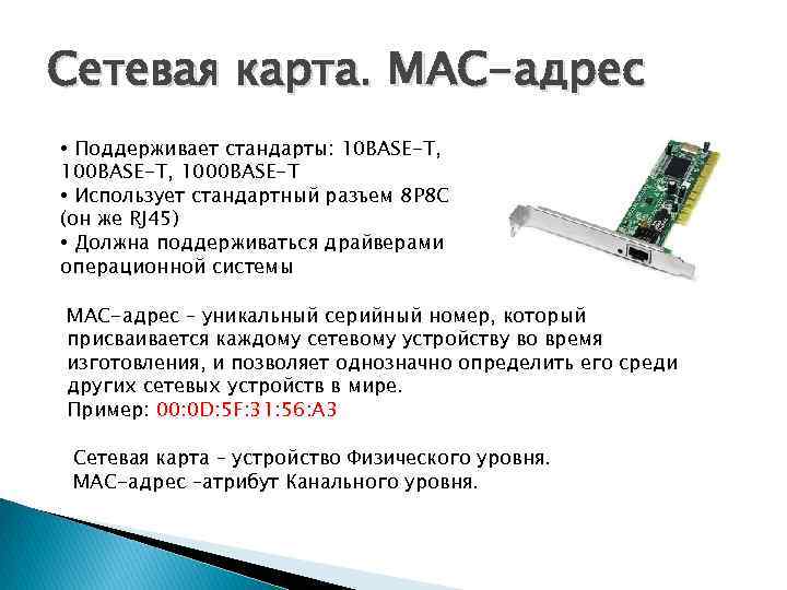 Сетевая карта. MAC-адрес • Поддерживает стандарты: 10 BASE-T, 1000 BASE-T • Использует стандартный разъем