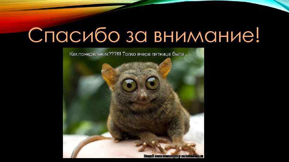 Спасибо за внимание! 