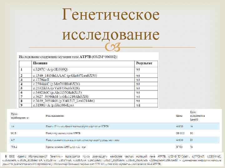 Генетическое исследование 