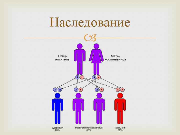 Наследование 