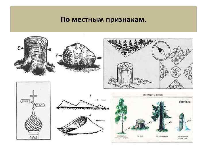 По местным признакам. 