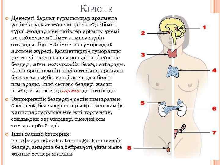 КІРІСПЕ Денедегі барлық құрылымдар арасында үздіксіз, уақыт және кеңістік тәртібімен түрлі жолдар мен тетіктер