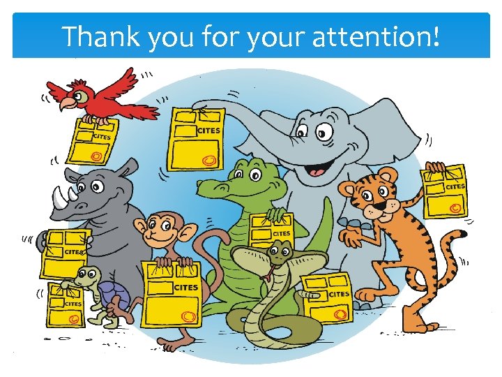 Thank you for your attention! 