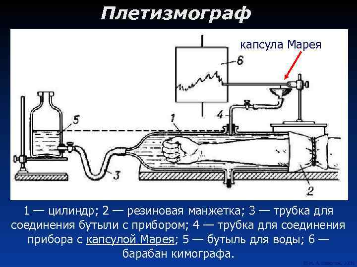 Плетизмограф капсула Марея 1 — цилиндр; 2 — резиновая манжетка; 3 — трубка для
