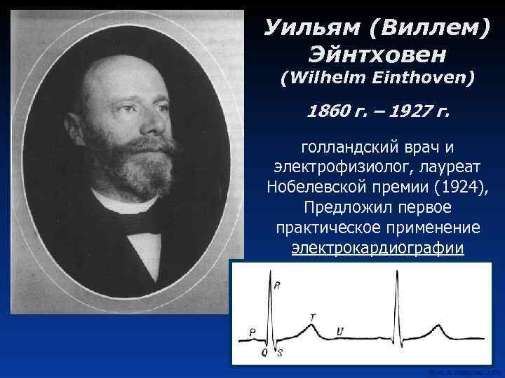 Уильям (Виллем) Эйнтховен (Wilhelm Einthoven) 1860 г. – 1927 г. голландский врач и электрофизиолог,