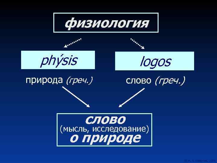 физиология phýsis logos природа (греч. ) слово (греч. ) слово (мысль, исследование) о природе