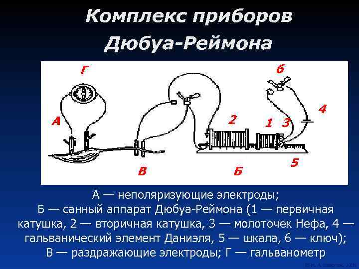 Комплекс приборов Дюбуа-Реймона 6 Г 2 А В Б 4 1 3 5 А
