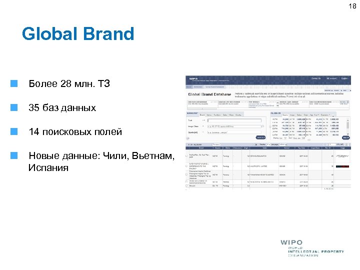 18 Global Brand Более 28 млн. ТЗ 35 баз данных 14 поисковых полей Новые