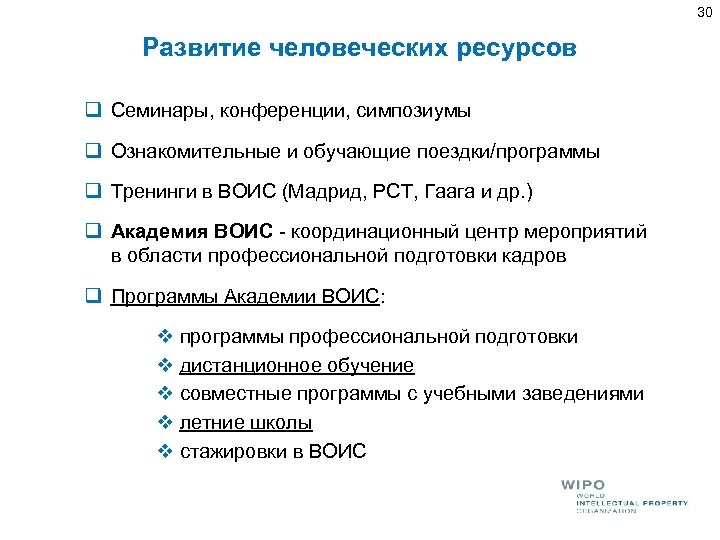 30 Развитие человеческих ресурсов q Семинары, конференции, симпозиумы q Ознакомительные и обучающие поездки/программы q