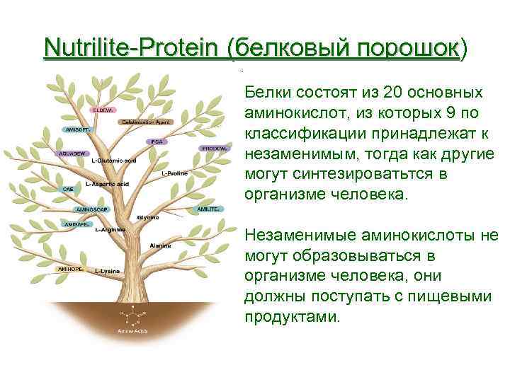 Nutrilite-Protein (белковый порошок) порошок Белки состоят из 20 основных аминокислот, из которых 9 по