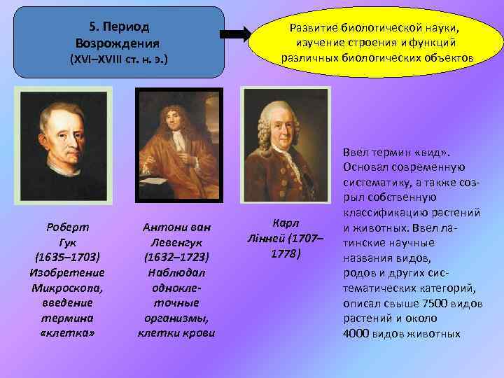 5. Период Возрождения (ХVІ–XVІІІ ст. н. э. ) Роберт Гук (1635– 1703) Изобретение Микроскопа,