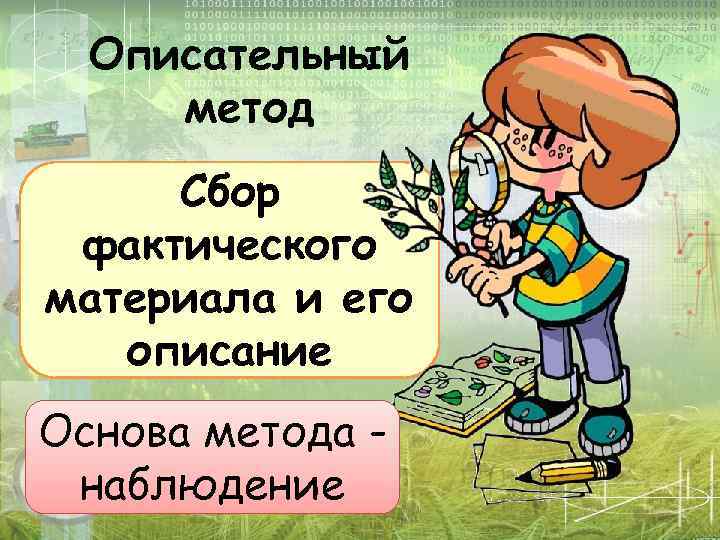 Описательный метод Сбор фактического материала и его описание Основа метода наблюдение 