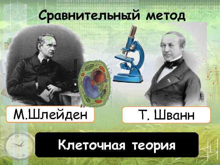 Сравнительный метод М. Шлейден Т. Шванн Клеточная теория 