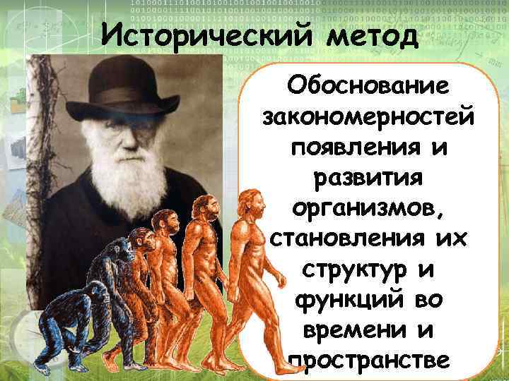 История появления и развития внешней памяти