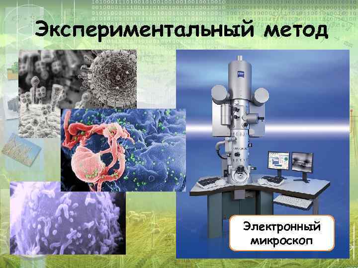 Экспериментальный метод Электронный микроскоп 