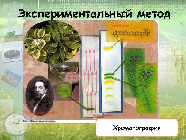 Экспериментальный метод Хроматография 