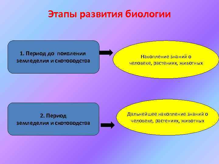 Этапы развития биологии 1. Период до появления земледелия и скотоводства 2. Период земледелия и